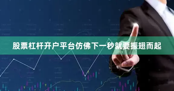 股票杠杆开户平台仿佛下一秒就要振翅而起